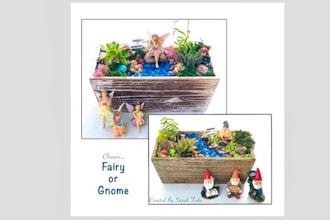 Plant Nite: Fairy or Gnome Garden in Distressed Wood